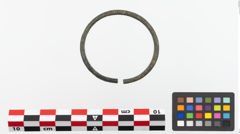 Foto von Bronzearmreif (NHMW-PRAE-023704)